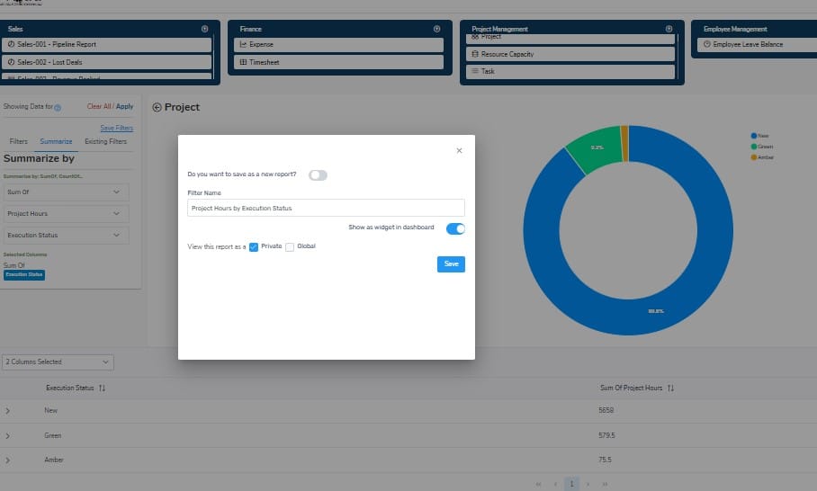 Customkized Project reports